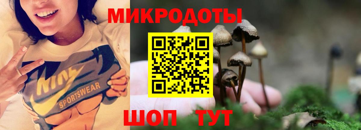 Псилоцибиновые грибы MAGIC MUSHROOMS  Вход с VPN  Минеральные Воды  Галлюциногенные грибы ЛСД 